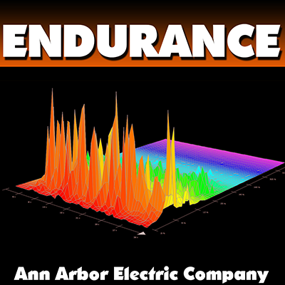 Free Download: Endurance by the Ann Arbor Electric Company